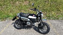 Motorrad kaufen Neufahrzeug HONDA Z 125 MA Monkey (naked)
