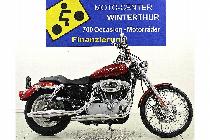 Motorrad kaufen Occasion HARLEY-DAVIDSON XL 883 C Sportster Custom (custom)