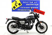 Motorrad kaufen Neufahrzeug KAWASAKI W 800 Street (naked)