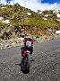 DUCATI 1200 Monster R ABS Occasion 