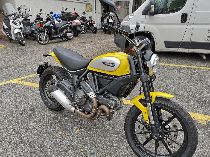 Motorrad kaufen Occasion DUCATI 803 Scrambler (retro)