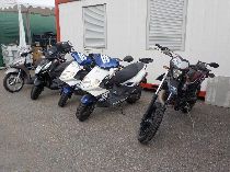 Motorrad kaufen Export BETA RR 50 il Enduro (enduro)