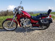 Motorrad kaufen Occasion SUZUKI VS 800 GL Intruder (custom)