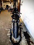 Motorrad kaufen Occasion TRIUMPH Daytona 765 Moto2 Limited Edition (sport)