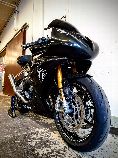 Motorrad kaufen Occasion TRIUMPH Daytona 765 Moto2 Limited Edition (sport)