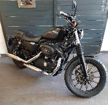 Motorrad kaufen Occasion HARLEY-DAVIDSON XL 883 N Iron (custom)