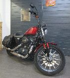 Motorrad kaufen Occasion HARLEY-DAVIDSON XL 883 N Iron (custom)