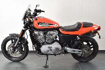 Motorrad kaufen Occasion HARLEY-DAVIDSON XR 1200 Sportster (custom)