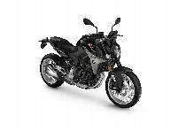 Motorrad kaufen Neufahrzeug BMW F 900 R (naked)
