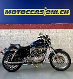 Motorrad kaufen Occasion HARLEY-DAVIDSON XLH 883 STD Sportster (custom)