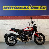 Motorrad kaufen Occasion DUCATI 803 Scrambler Icon (retro)
