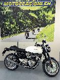 Motorrad kaufen Occasion TRIUMPH Thruxton 1200 R ABS (retro)