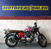 Motorrad kaufen Occasion TRIUMPH Bonneville T100 900 (retro)