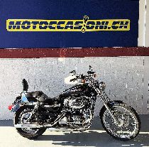 Motorrad kaufen Occasion HARLEY-DAVIDSON XL 1200 C Sportster Custom (custom)