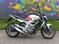 Motorrad kaufen Occasion SUZUKI SFV 650 Gladius (naked)