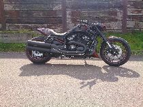 Motorrad kaufen Occasion HARLEY-DAVIDSON VRSCDX 1250 Night-Rod Special ABS (custom)