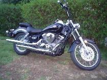 Motorrad kaufen Occasion YAMAHA XVS 250 Drag Star (custom)