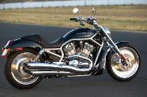 Motorrad kaufen Occasion HARLEY-DAVIDSON VRSCB 1130 V-Rod (custom)
