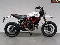 Motorrad kaufen Occasion DUCATI 803 Scrambler Desert Sled (retro)