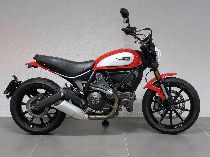 Motorrad kaufen Occasion DUCATI 803 Scrambler (retro)
