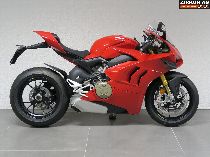 Motorrad kaufen Neufahrzeug DUCATI 1103 Panigale V4 S (sport)