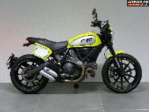 Motorrad kaufen Occasion DUCATI 803 Scrambler (retro)