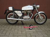 Motorrad kaufen Oldtimer DUCATI 450 SS Desmo Silver Shotgun (sport)