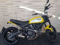 Motorrad kaufen Occasion DUCATI 803 Scrambler (retro)