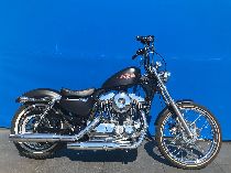 Motorrad kaufen Occasion HARLEY-DAVIDSON XL 1200 V Sportster Seventy-Two (custom)