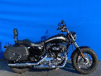 Motorrad kaufen Occasion HARLEY-DAVIDSON XL 1200 C Sportster Custom ABS (custom)