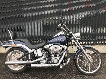 Motorrad kaufen Occasion HARLEY-DAVIDSON FXSTC 1584 Softail Custom (custom)