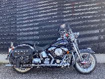 Motorrad kaufen Occasion HARLEY-DAVIDSON FLSTS 1340 Softail Heritage Springer (custom)