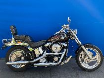  Motorrad kaufen Occasion HARLEY-DAVIDSON FXSTC 1340 Softail Custom (custom)