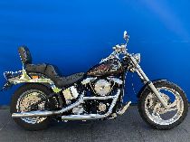 Motorrad kaufen Occasion HARLEY-DAVIDSON FXSTC 1340 Softail Custom (custom)
