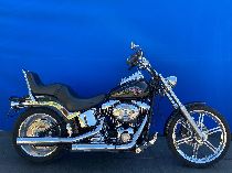 Motorrad kaufen Occasion HARLEY-DAVIDSON FXSTC 1584 Softail Custom (custom)