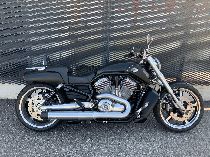 Motorrad kaufen Occasion HARLEY-DAVIDSON VRSCF 1250 V-Rod Muscle ABS (custom)