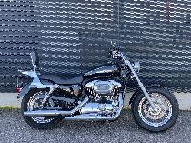 Motorrad kaufen Occasion HARLEY-DAVIDSON XL 1200 C Sportster Custom (custom)