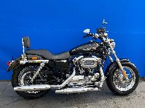 Motorrad kaufen Occasion HARLEY-DAVIDSON XL 1200 C Sportster Custom (custom)