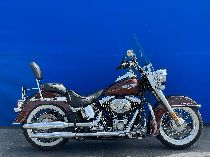 Motorrad kaufen Occasion HARLEY-DAVIDSON FLSTN 1584 Softail Deluxe (custom)