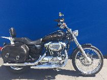 Motorrad kaufen Occasion HARLEY-DAVIDSON XL 1200 C Sportster Custom (custom)