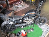 Motorrad kaufen Occasion HARLEY-DAVIDSON XLH 883 Sportster (custom)