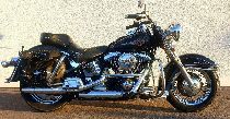 Motorrad kaufen Occasion HARLEY-DAVIDSON FLSTC 1340 Softail Heritage Classic (custom)