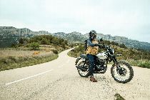 Acheter une moto neuve BRIXTON Felsberg 125 (retro)