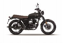 Acheter une moto neuve BRIXTON Cromwell 125 (retro)