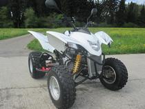 Motorrad kaufen Neufahrzeug SMC RAM 320 LV (quad-atv-ssv)
