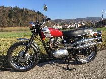 Motorrad kaufen Oldtimer TRIUMPH T100C