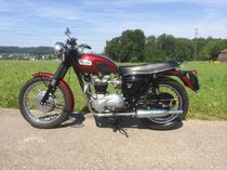 Motorrad kaufen Oldtimer TRIUMPH T6R