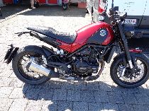 Motorrad kaufen Occasion BENELLI Leoncino 500 (retro)