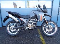 Motorrad kaufen Neufahrzeug MALAGUTI Dune 125 (enduro)