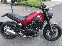 Motorrad kaufen Occasion BENELLI Leoncino 500 (retro)